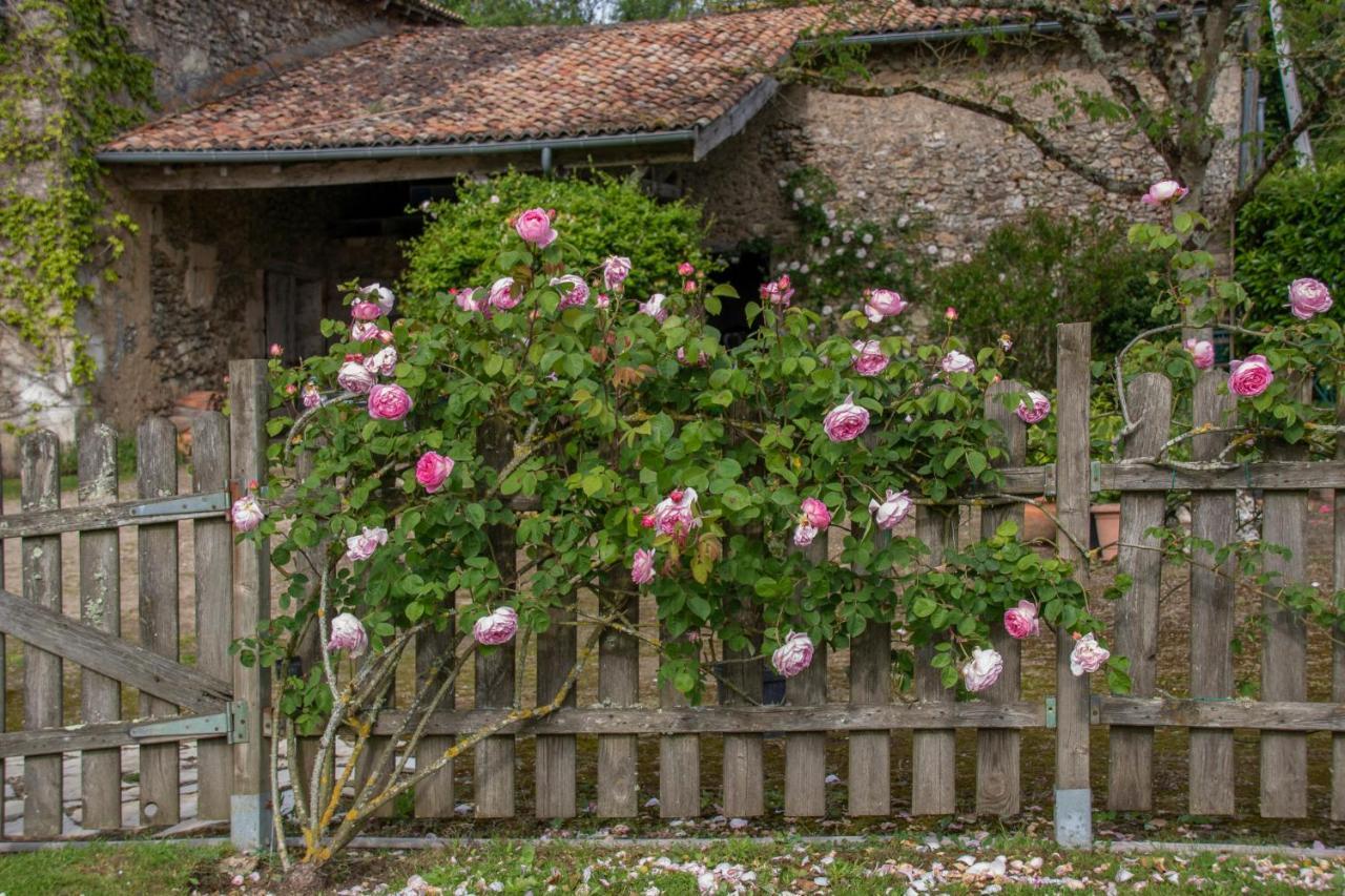 Chambres d'Hôtes La Pocterie Vouneuil-sur-Vienne Extérieur photo