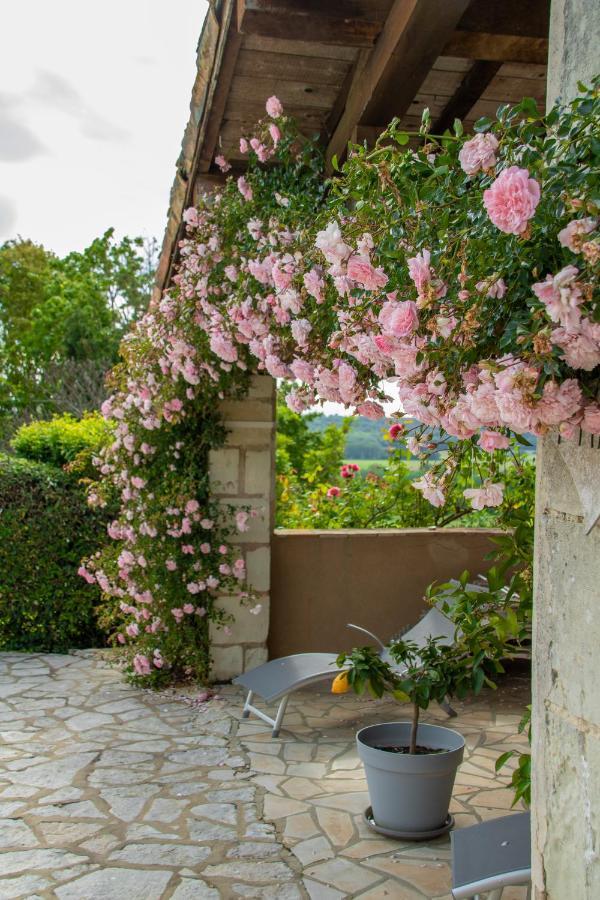 Chambres d'Hôtes La Pocterie Vouneuil-sur-Vienne Extérieur photo