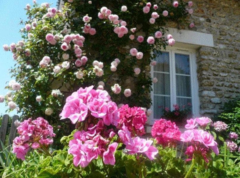Chambres d'Hôtes La Pocterie Vouneuil-sur-Vienne Extérieur photo